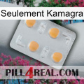 Only Kamagra 24